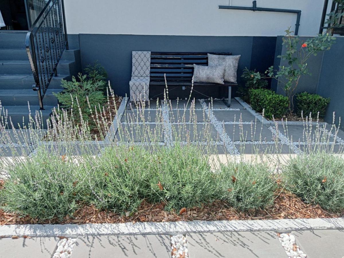 אלברטון Magnolia Guesthouse מראה חיצוני תמונה